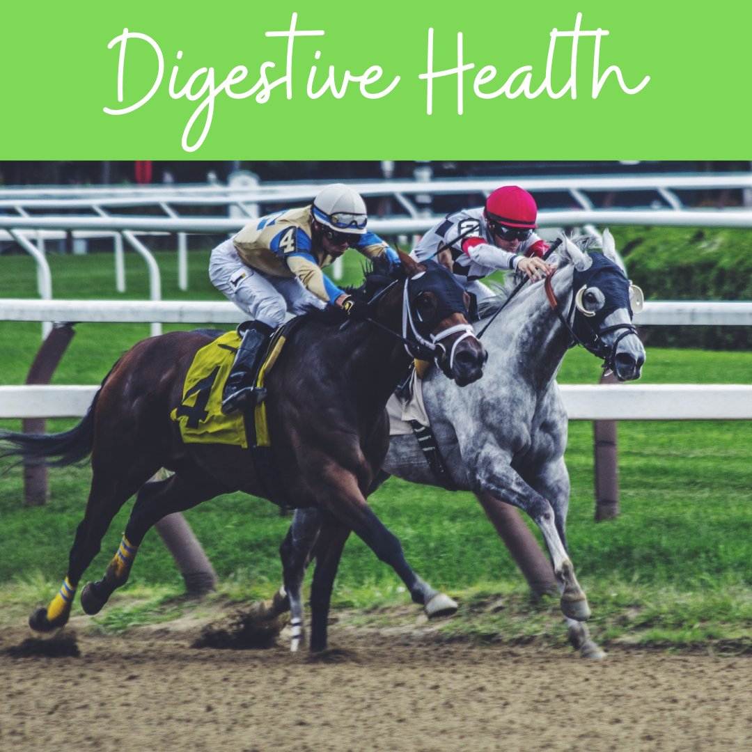 Digestive Health & Detox