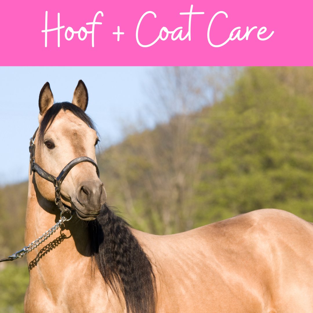 Hoof, Skin, Hair & Coat