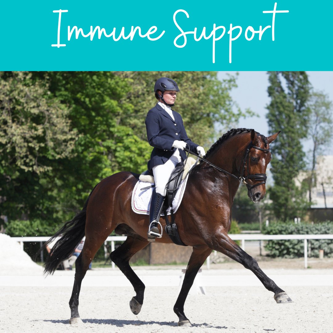 Immune Support