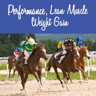 Performance, Lean Muscle & Weight Gain