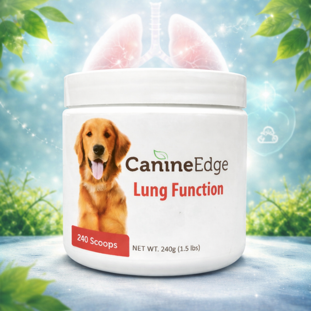 Lung Function