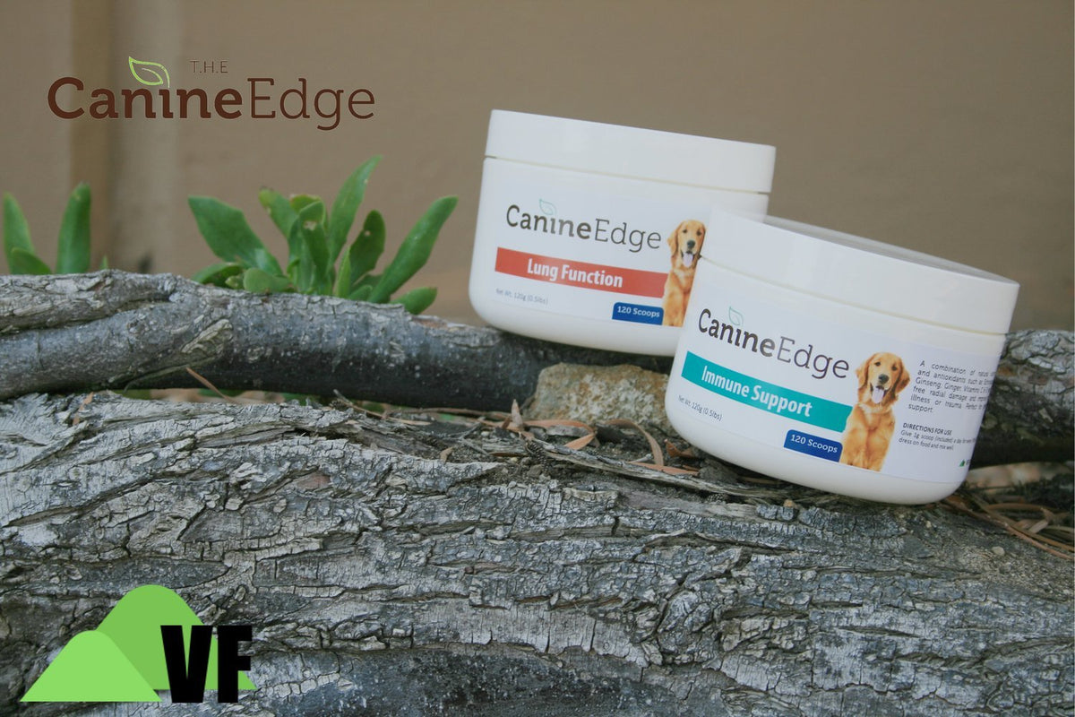 Canine &quot;Valley Fever Package&quot;